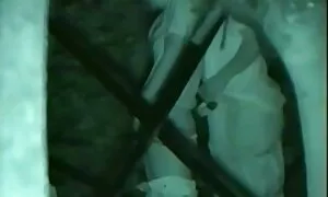 Video khiêu sex gai xinh hay nhat dâm, tóc đỏ chó cái lắc âm hộ của cô. Các khiêu dâm loại khác nhau.