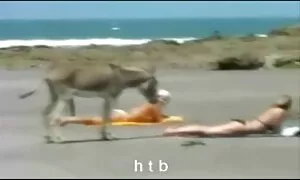 Khiêu dâm Video hai cái lắc một thành viên của một nô lệ trói vào giường. Loại DÂM, việc xử sex nhat ban moi nhat lý, ba.