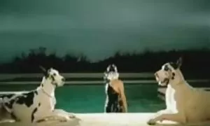 Gay video tay hai lần một ngày. Loại gay Thủ dâm phím sex nhat ban nam.